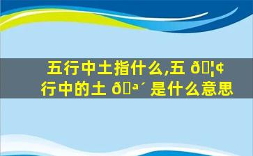 五行中土指什么,五 🦢 行中的土 🪴 是什么意思